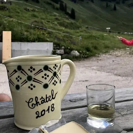 Les Chamois - Hyper Centre - 7 Pers Appartement Châtel