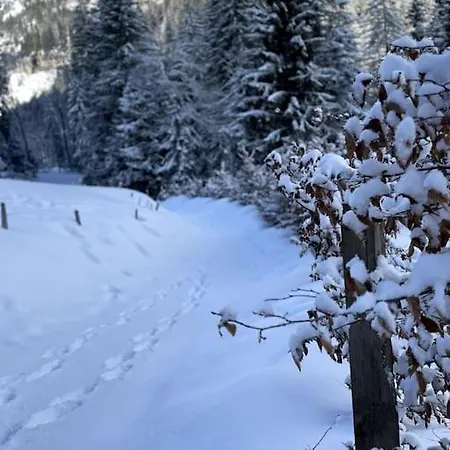 Les Chamois - Hyper Centre - 7 Pers * Châtel
