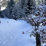 Les Chamois - Hyper Centre - 7 Pers * Châtel