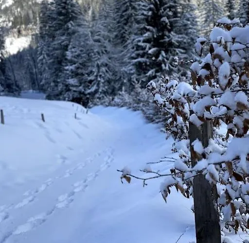 Les Chamois - Hyper Centre - 7 Pers * Châtel
